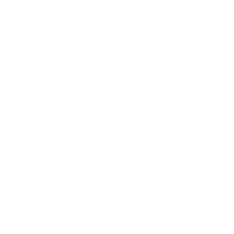 lionz